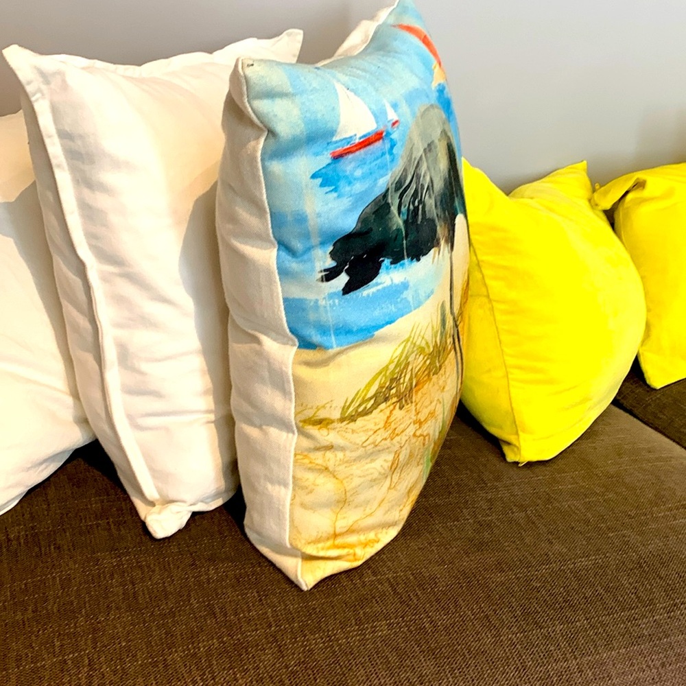 Throw pillow with design🫶🏻 +BONUS pillow